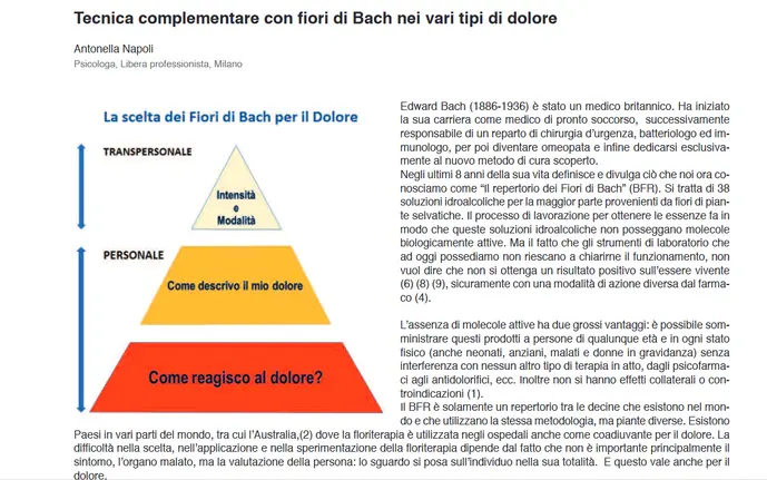 Foto dell'articolo