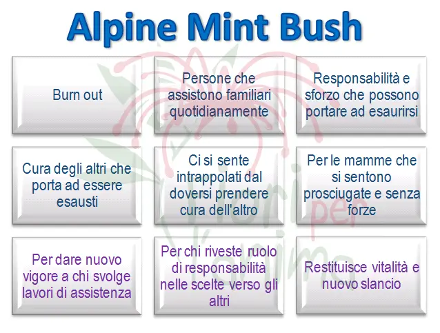 Schema riassuntivo dell'essenza