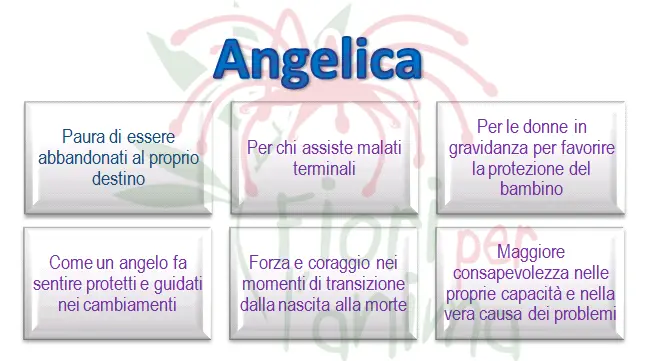 Schema riassuntivo dell'essenza