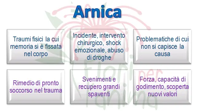 Schema riassuntivo dell'essenza