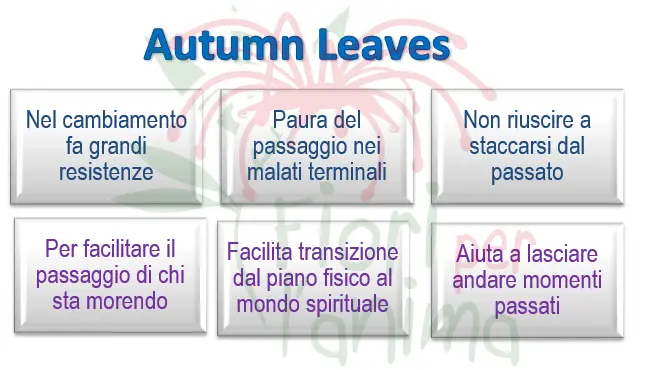 Schema riassuntivo dell'essenza