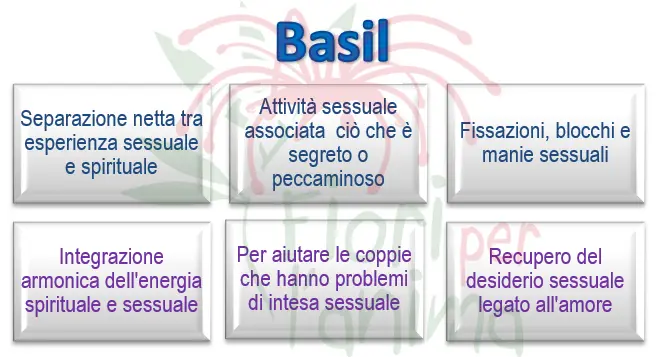 Schema riassuntivo dell'essenza