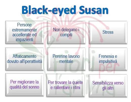 Schema riassuntivo dell'essenza