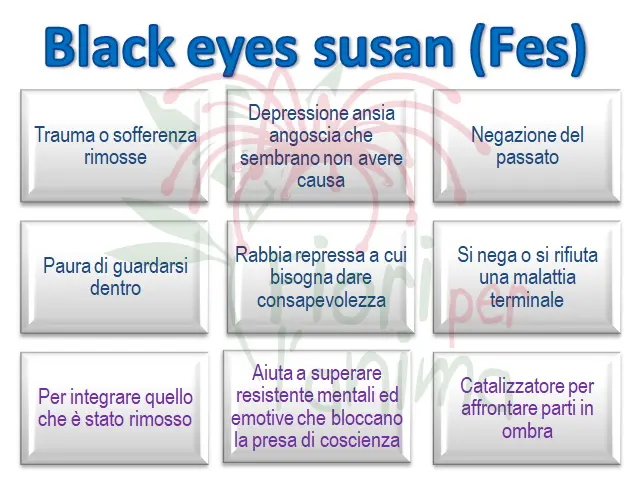 Schema riassuntivo dell'essenza