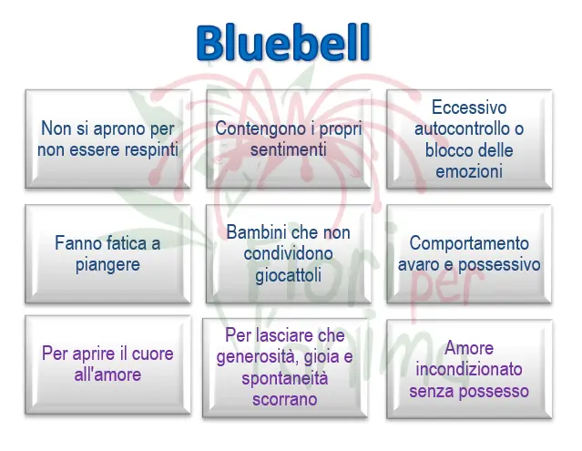 Schema riassuntivo dell'essenza