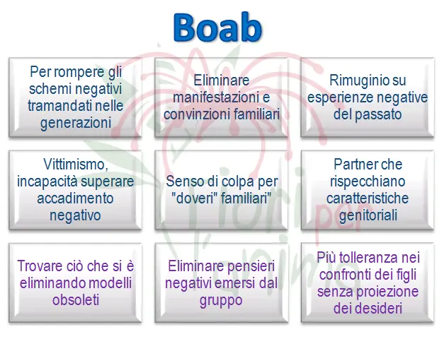 Schema riassuntivo dell'essenza