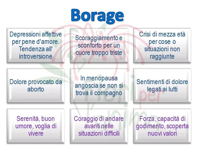Schema riassuntivo dell'essenza
