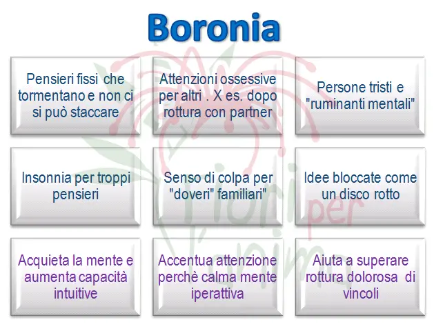Schema riassuntivo dell'essenza