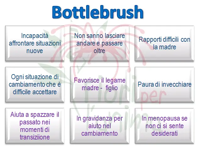Schema riassuntivo dell'essenza