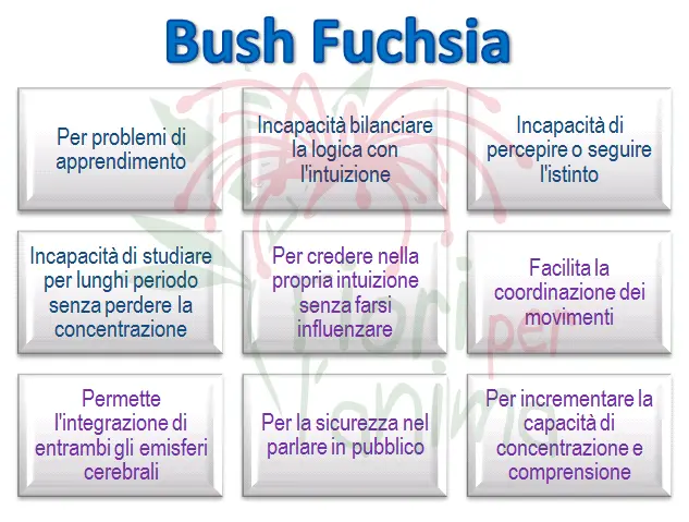 Schema riassuntivo dell'essenza