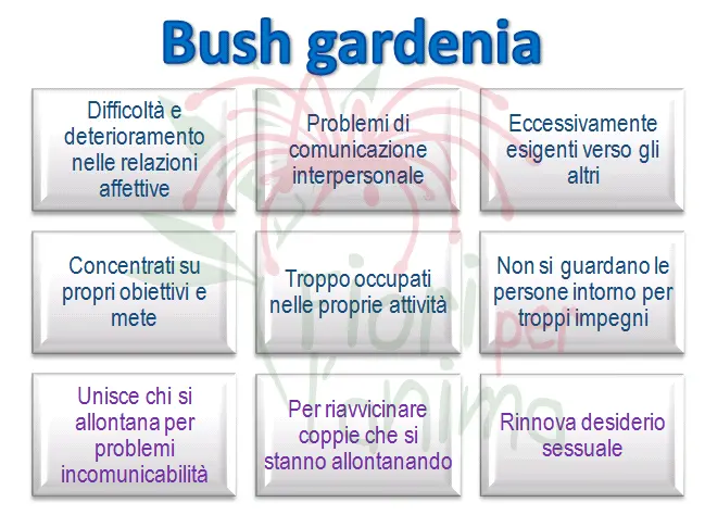Schema riassuntivo dell'essenza