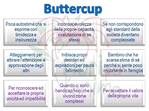Schema riassuntivo dell'essenza