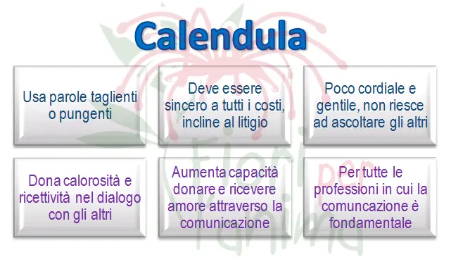 Schema riassuntivo dell'essenza