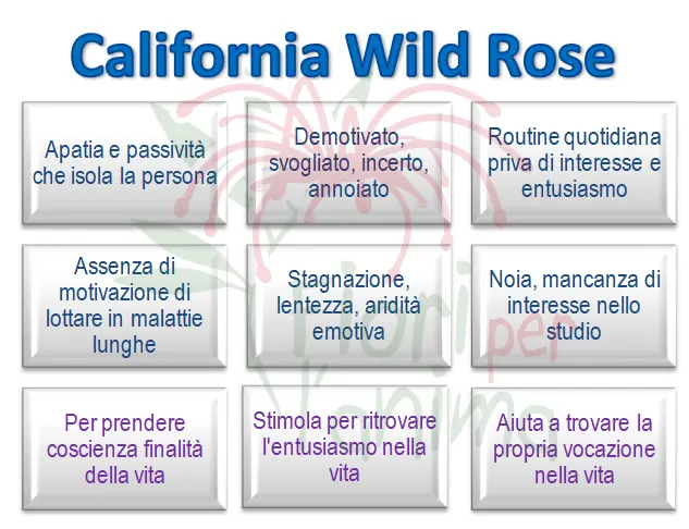 Schema riassuntivo dell'essenza