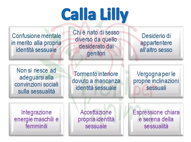 Schema riassuntivo dell'essenza