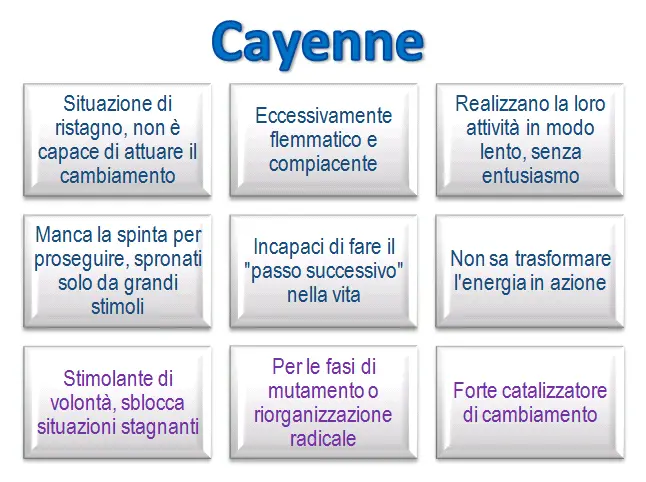 Schema riassuntivo dell'essenza