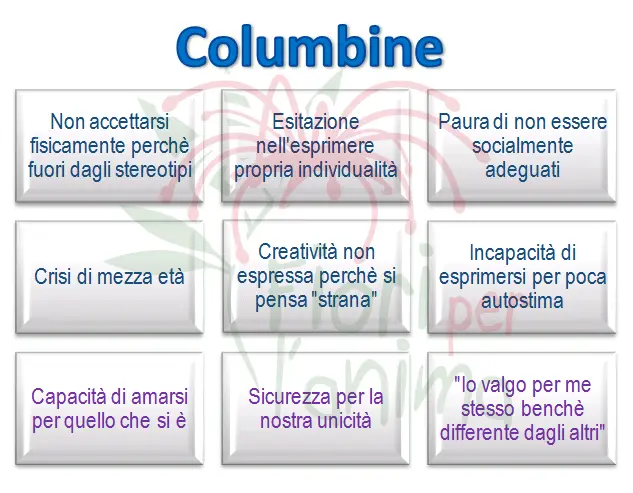 Schema riassuntivo dell'essenza