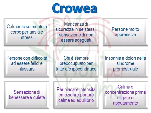 Schema riassuntivo dell'essenza