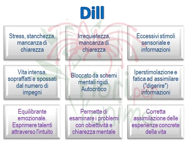 Schema riassuntivo dell'essenza