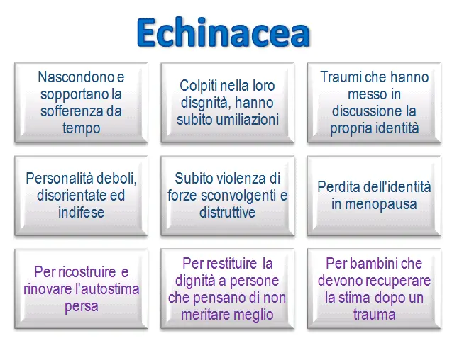 Schema riassuntivo dell'essenza