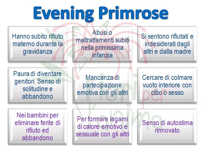 Schema riassuntivo dell'essenza