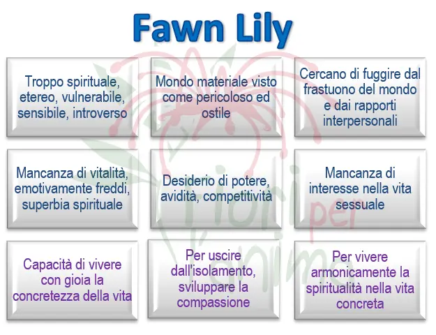 Schema riassuntivo dell'essenza