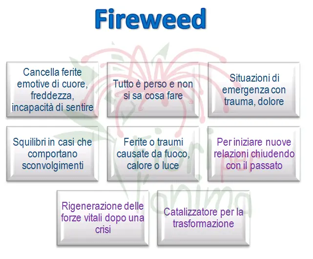 Schema riassuntivo dell'essenza