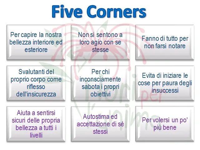 Schema riassuntivo dell'essenza