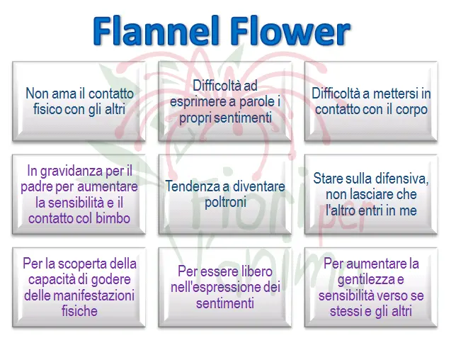 Schema riassuntivo dell'essenza