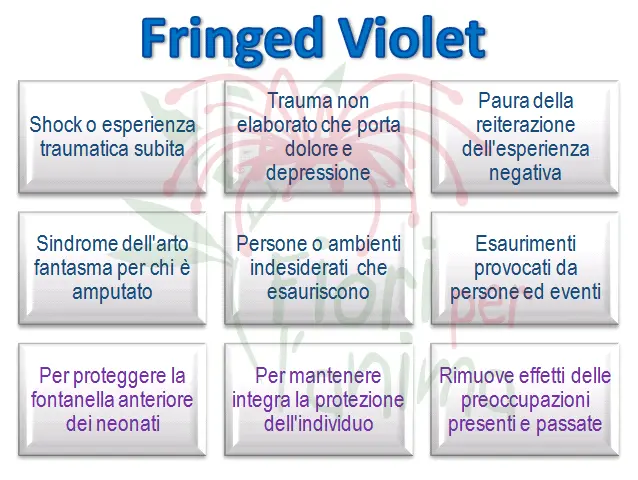 Schema riassuntivo dell'essenza