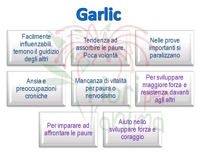Schema riassuntivo dell'essenza