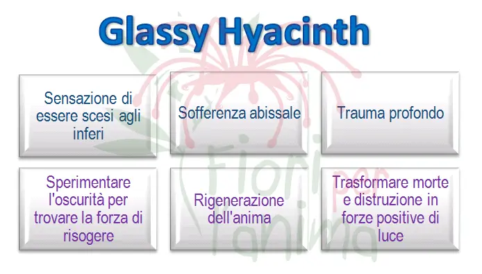 Schema riassuntivo dell'essenza