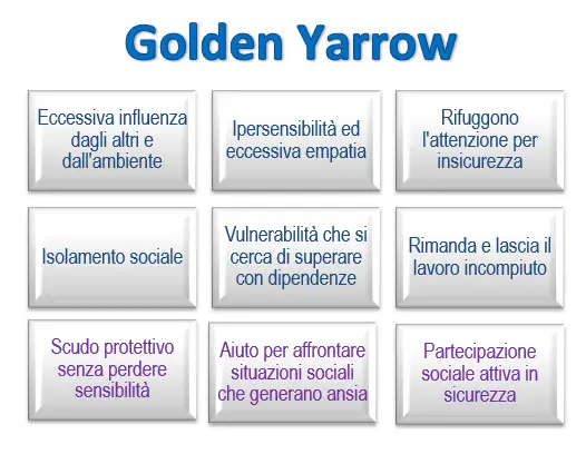 Schema riassuntivo dell'essenza