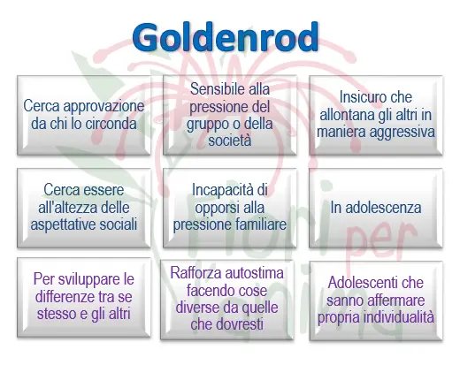 schema riassuntivo dell'essenza