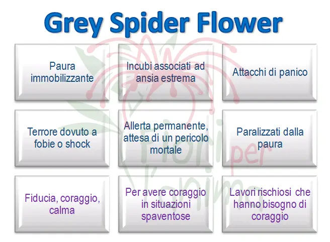 Schema riassuntivo dell'essenza