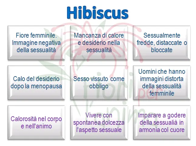 Schema riassuntivo dell'essenza