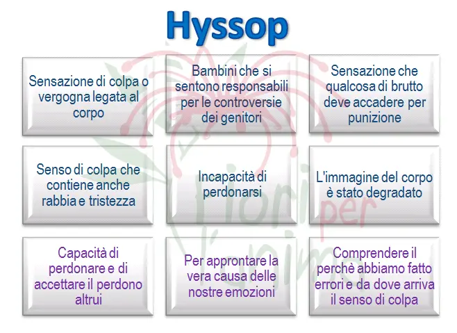 Schema riassuntivo dell'essenza