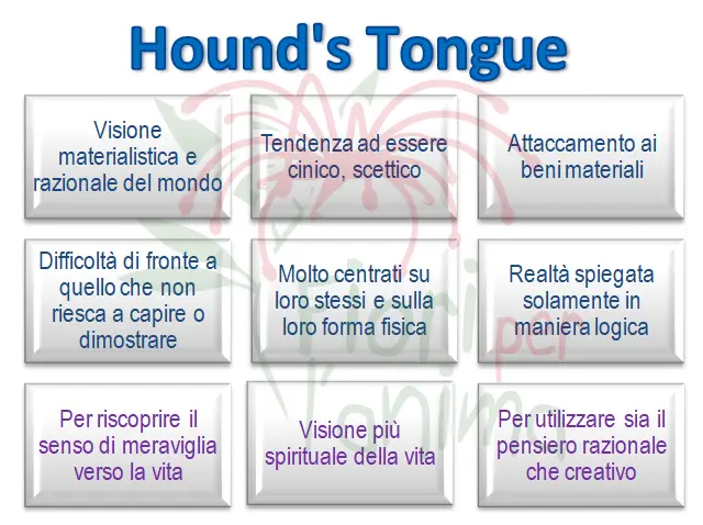 Schema riassuntivo dell'essenza