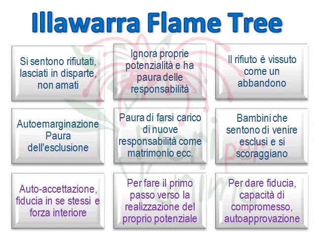 Schema riassuntivo dell'essenza