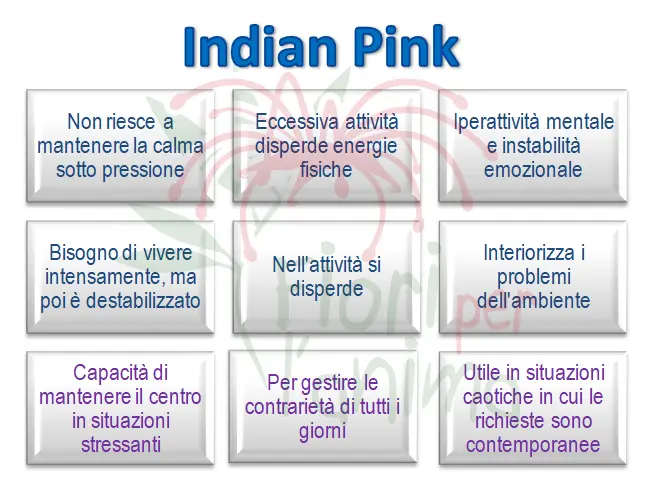 Schema riassuntivo dell'essenza