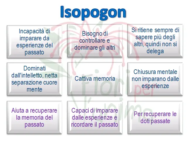 Schema riassuntivo dell'essenza