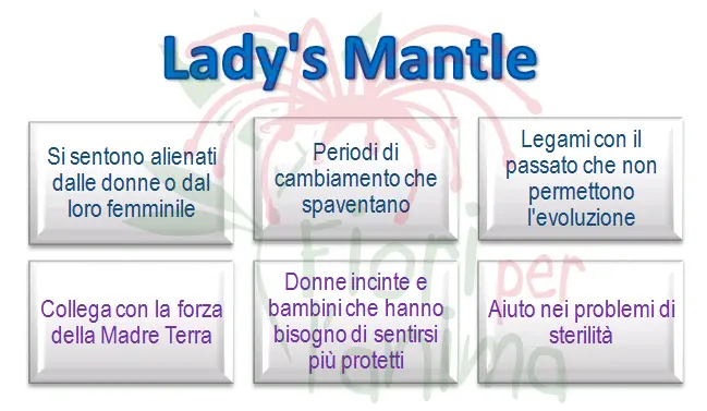 Schema riassuntivo dell'essenza