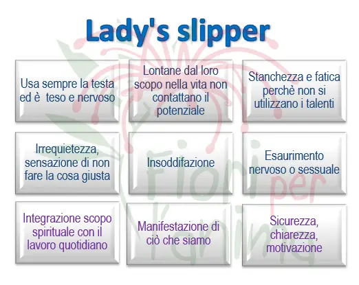 schema riassuntivo dell'essenza