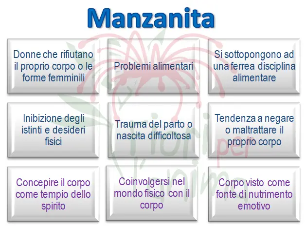 Schema riassuntivo dell'essenza