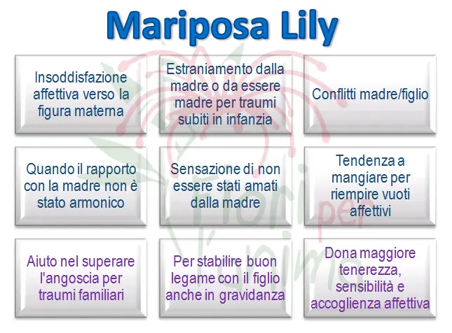 Schema riassuntivo dell'essenza