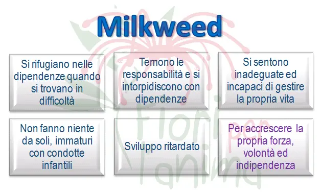 Schema riassuntivo dell'essenza