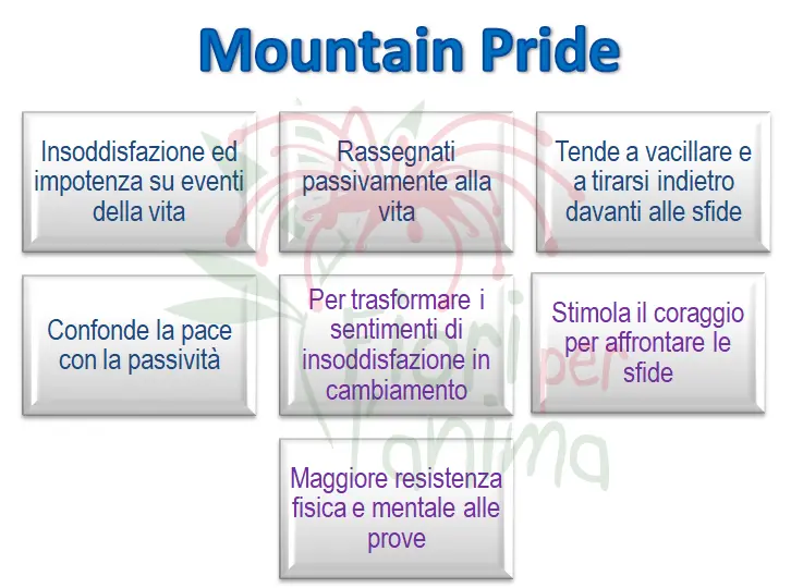 Schema riassuntivo dell'essenza