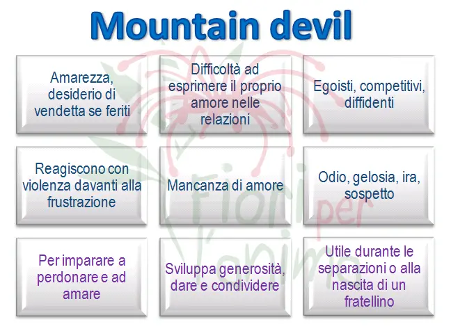 Schema riassuntivo dell'essenza