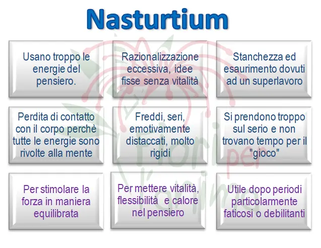 Schema riassuntivo dell'essenza