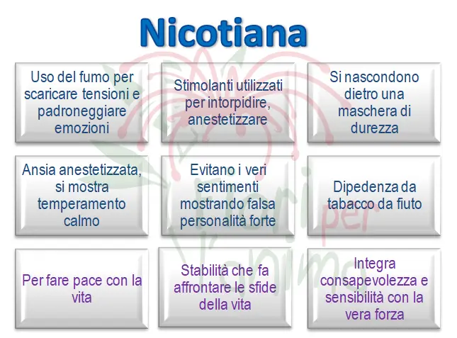 Schema riassuntivo dell'essenza